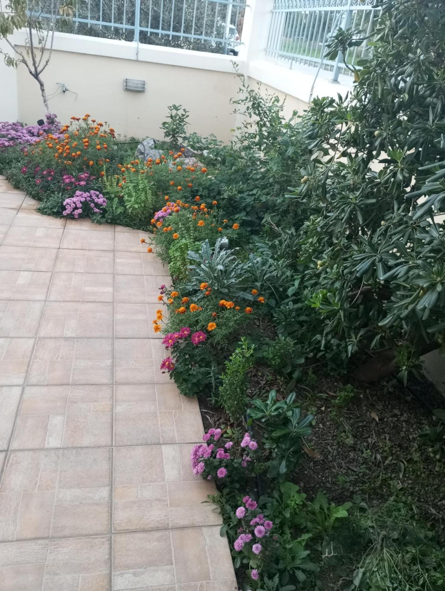 Dora'S Home With Garden Volos Eksteriør billede